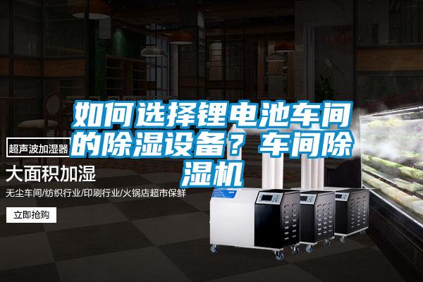 如何選擇鋰電池車間的除濕設(shè)備？車間除濕機(jī)