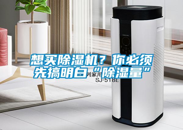 想買除濕機？你必須先搞明白“除濕量”