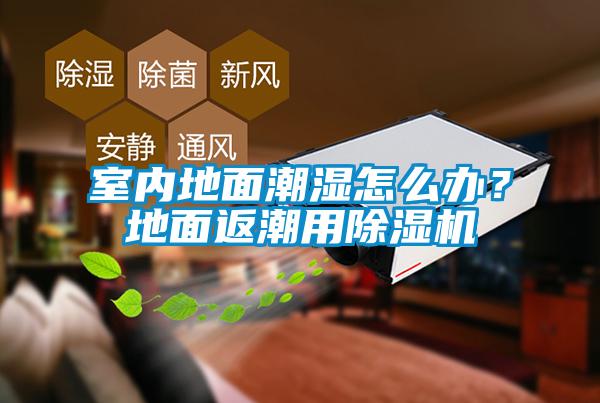 室內(nèi)地面潮濕怎么辦？地面返潮用除濕機