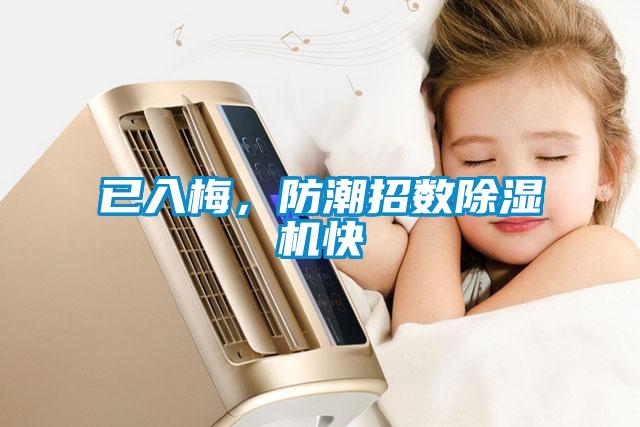 已入梅，防潮招數(shù)除濕機(jī)快