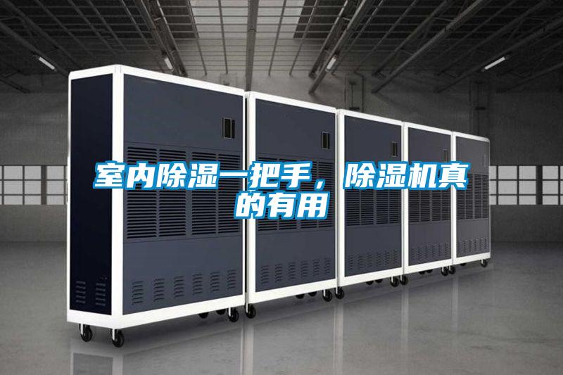 室內除濕一把手，除濕機真的有用
