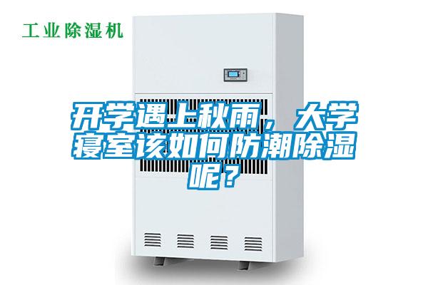 開學遇上秋雨，大學寢室該如何防潮除濕呢？