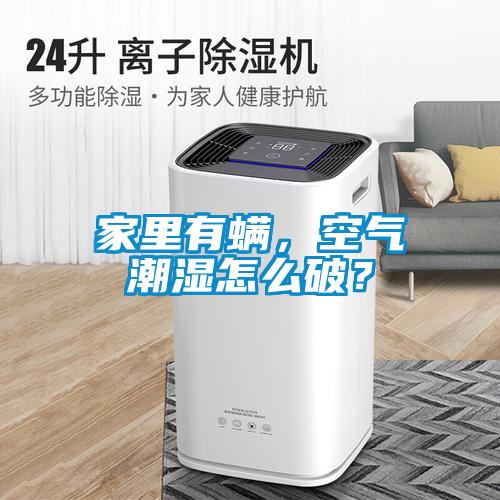 家里有螨，空氣潮濕怎么破？