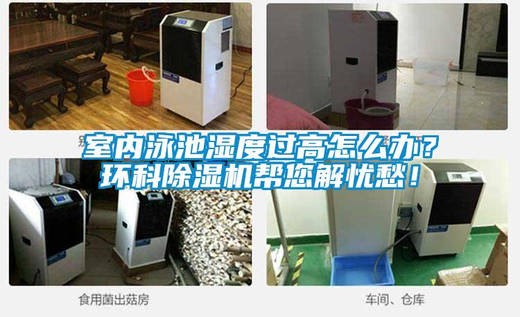 室內(nèi)泳池濕度過(guò)高怎么辦？環(huán)科除濕機(jī)幫您解憂愁！
