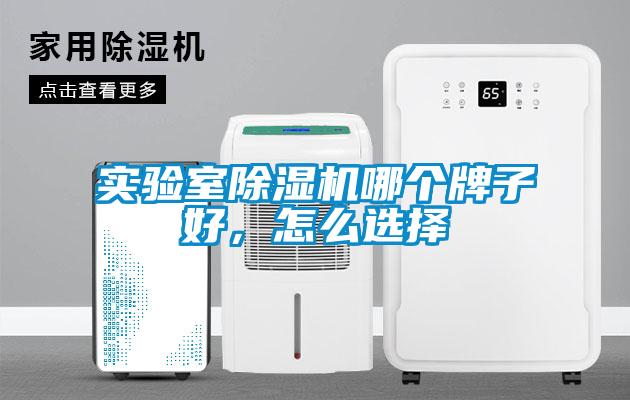 實驗室除濕機(jī)哪個牌子好，怎么選擇
