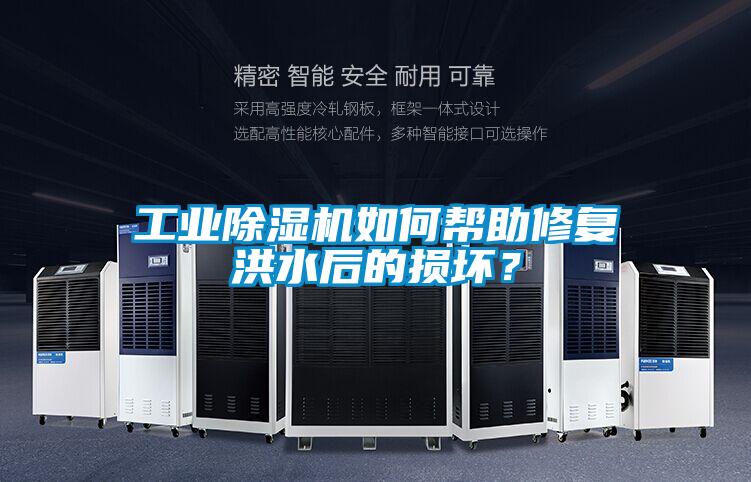 工業(yè)除濕機如何幫助修復洪水后的損壞？