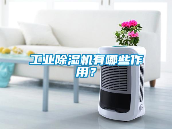工業(yè)除濕機(jī)有哪些作用？