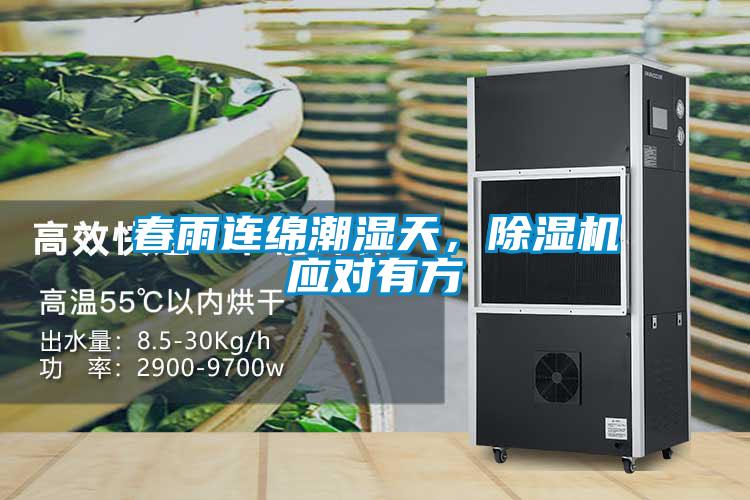 春雨連綿潮濕天，除濕機應(yīng)對有方
