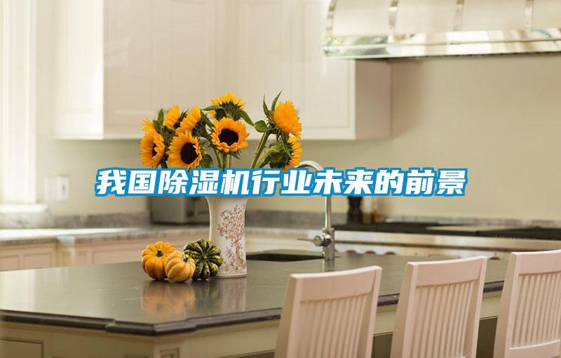 我國除濕機行業(yè)未來的前景