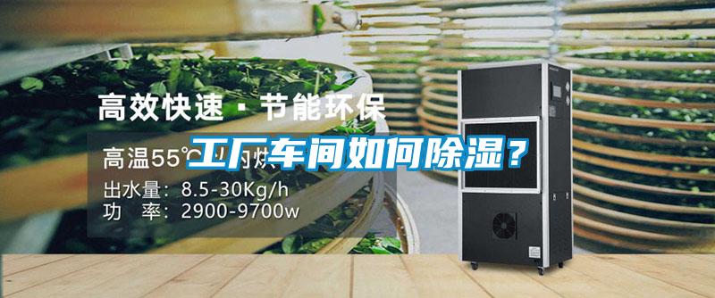 工廠車間如何除濕？