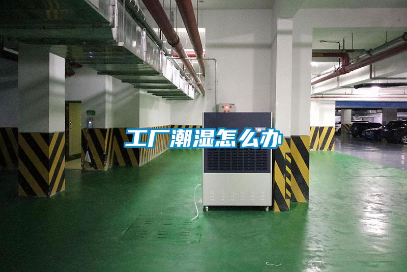 工廠(chǎng)潮濕怎么辦