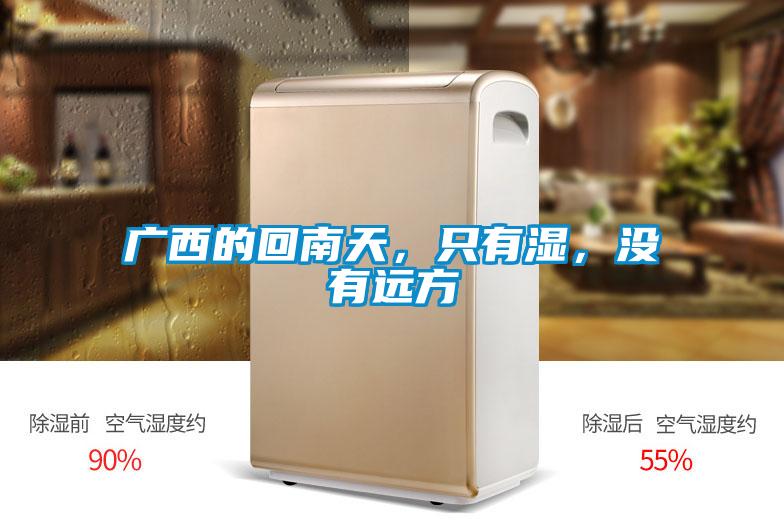 廣西的回南天，只有濕，沒有遠(yuǎn)方