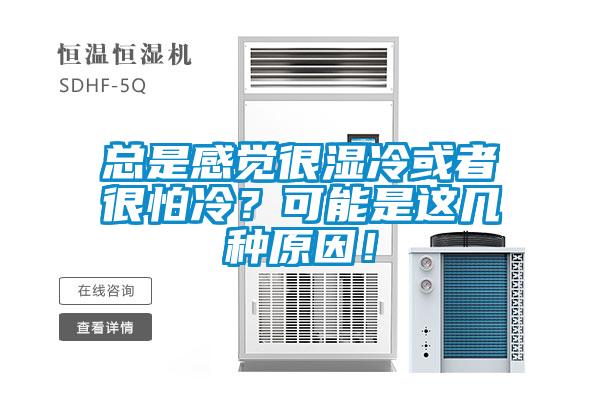 總是感覺很濕冷或者很怕冷？可能是這幾種原因！