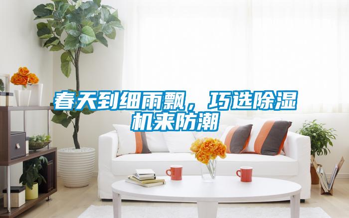 春天到細(xì)雨飄，巧選除濕機(jī)來防潮