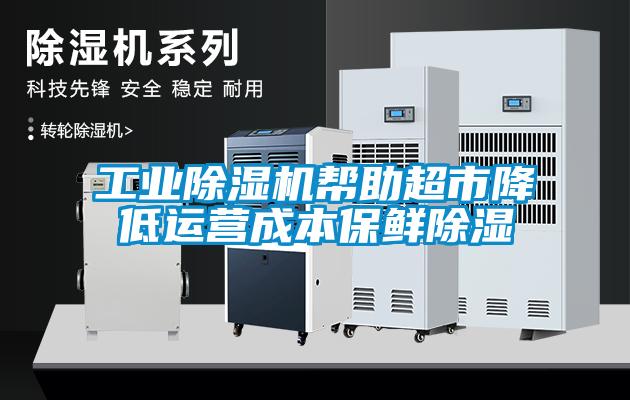 工業(yè)除濕機(jī)幫助超市降低運(yùn)營(yíng)成本保鮮除濕