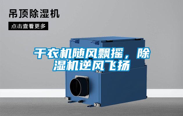 干衣機(jī)隨風(fēng)飄搖，除濕機(jī)逆風(fēng)飛揚(yáng)
