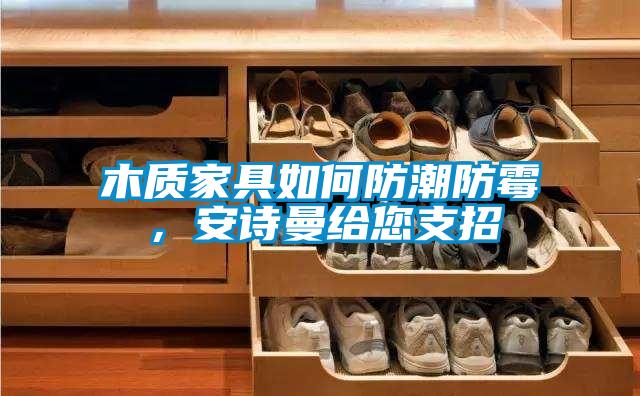 木質(zhì)家具如何防潮防霉，安詩(shī)曼給您支招