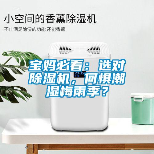 寶媽必看：選對除濕機(jī)，何懼潮濕梅雨季？
