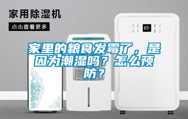 家里的糧食發(fā)霉了，是因?yàn)槌睗駟幔吭趺搭A(yù)防？