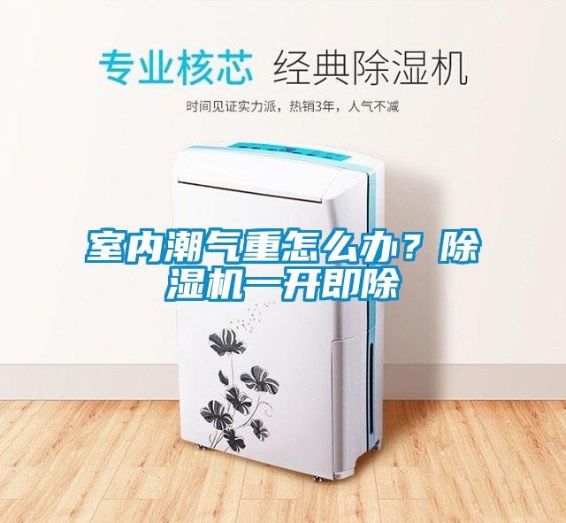 室內(nèi)潮氣重怎么辦？除濕機(jī)一開即除