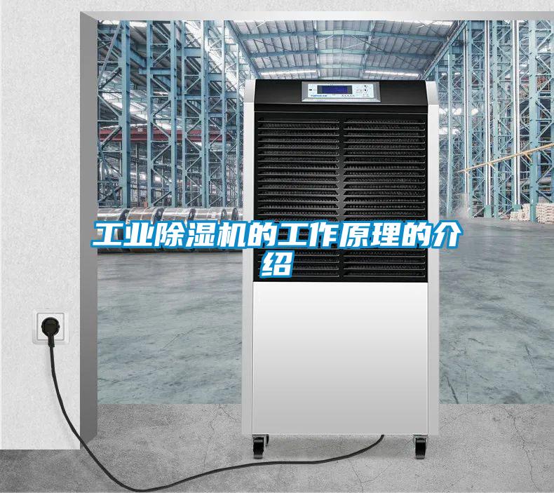 工業(yè)除濕機的工作原理的介紹