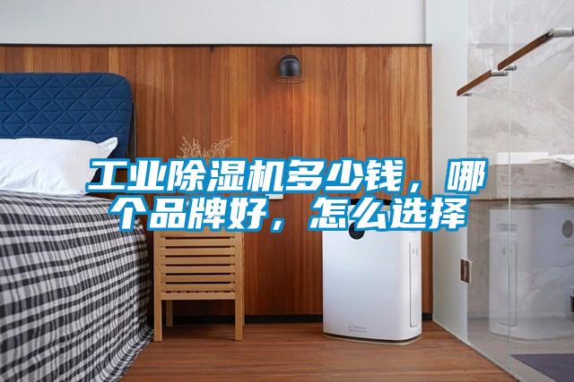 工業(yè)除濕機多少錢，哪個品牌好，怎么選擇