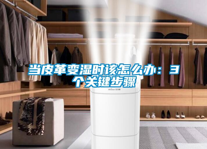 當(dāng)皮革變濕時(shí)該怎么辦：3個(gè)關(guān)鍵步驟