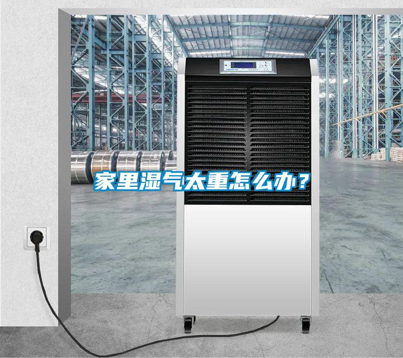 家里濕氣太重怎么辦？