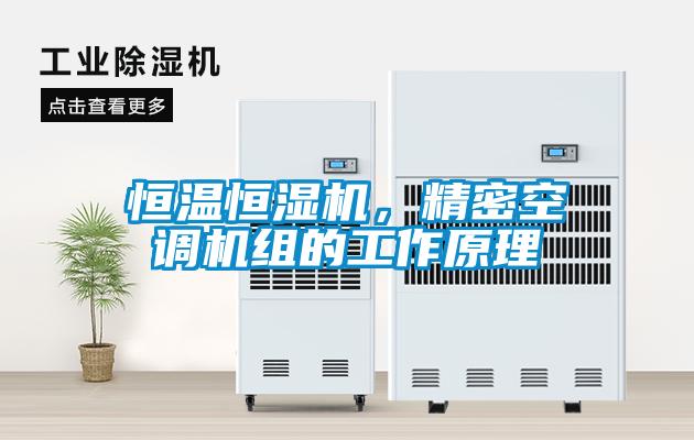 恒溫恒濕機(jī)，精密空調(diào)機(jī)組的工作原理