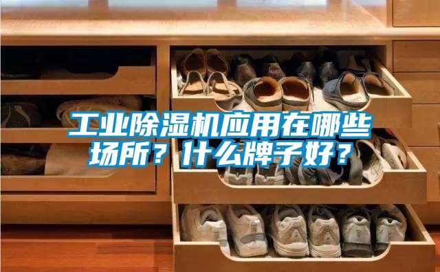 工業(yè)除濕機應用在哪些場所？什么牌子好？