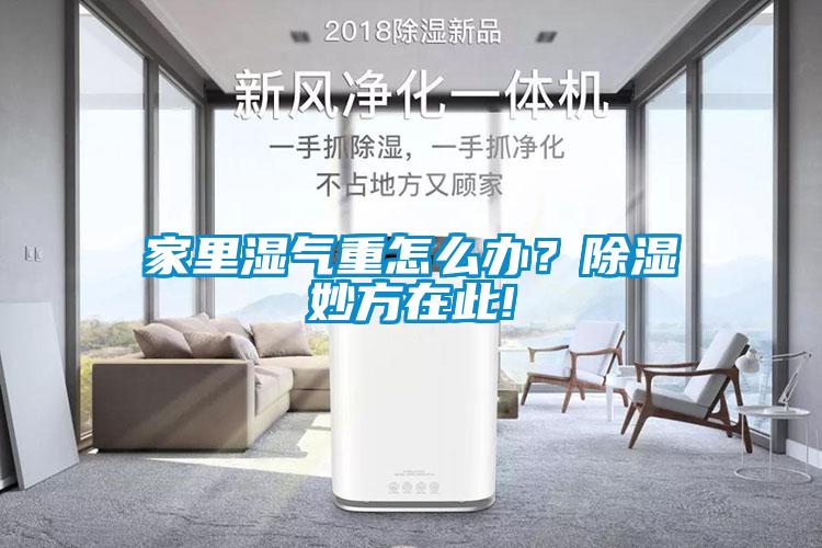 家里濕氣重怎么辦？除濕妙方在此!