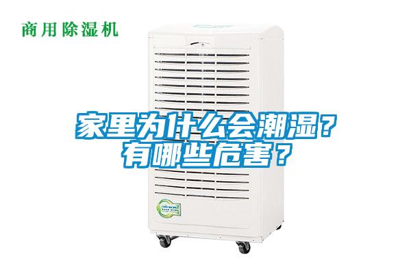家里為什么會潮濕？有哪些危害？