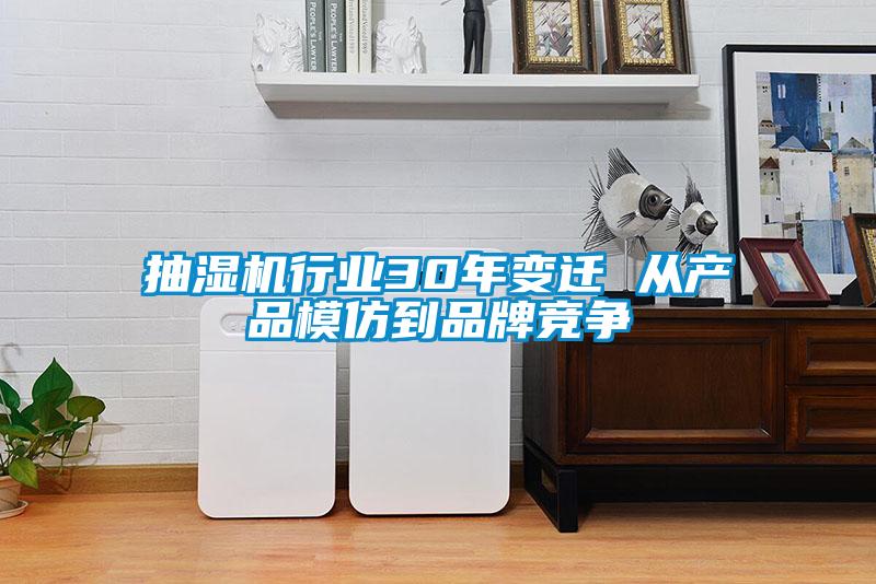 抽濕機行業(yè)30年變遷 從產(chǎn)品模仿到品牌競爭