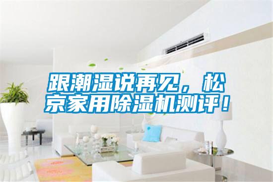 跟潮濕說再見，松京家用除濕機(jī)測評！