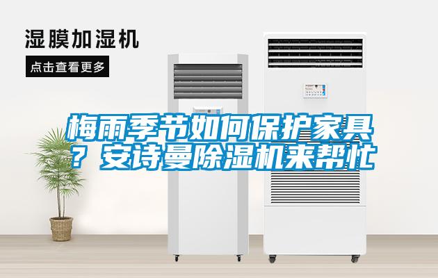 梅雨季節(jié)如何保護(hù)家具？安詩(shī)曼除濕機(jī)來(lái)幫忙