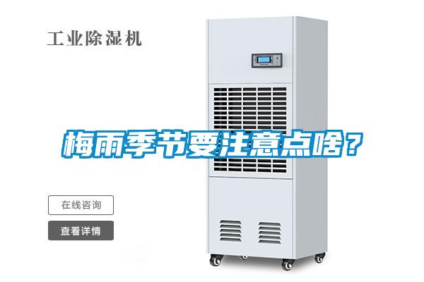梅雨季節(jié)要注意點(diǎn)啥？