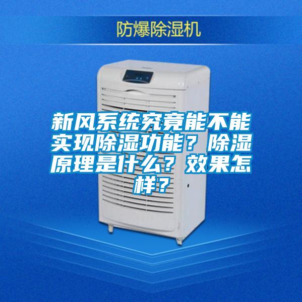 新風系統(tǒng)究竟能不能實現(xiàn)除濕功能？除濕原理是什么？效果怎樣？