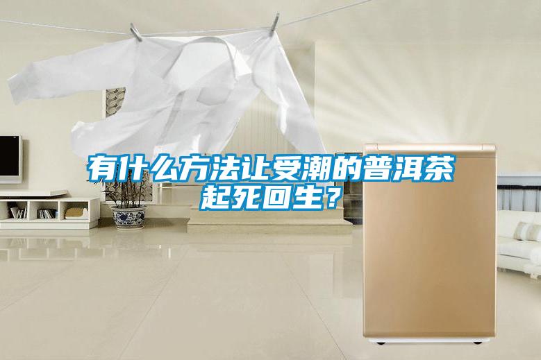 有什么方法讓受潮的普洱茶起死回生？