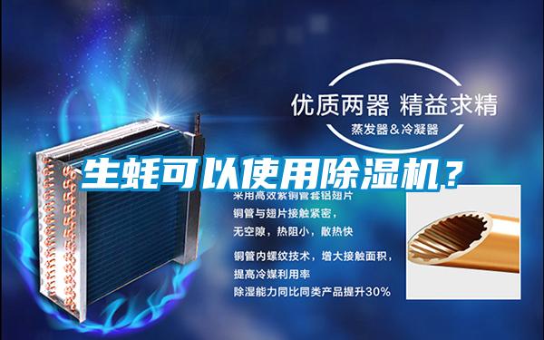 生蠔可以使用除濕機？