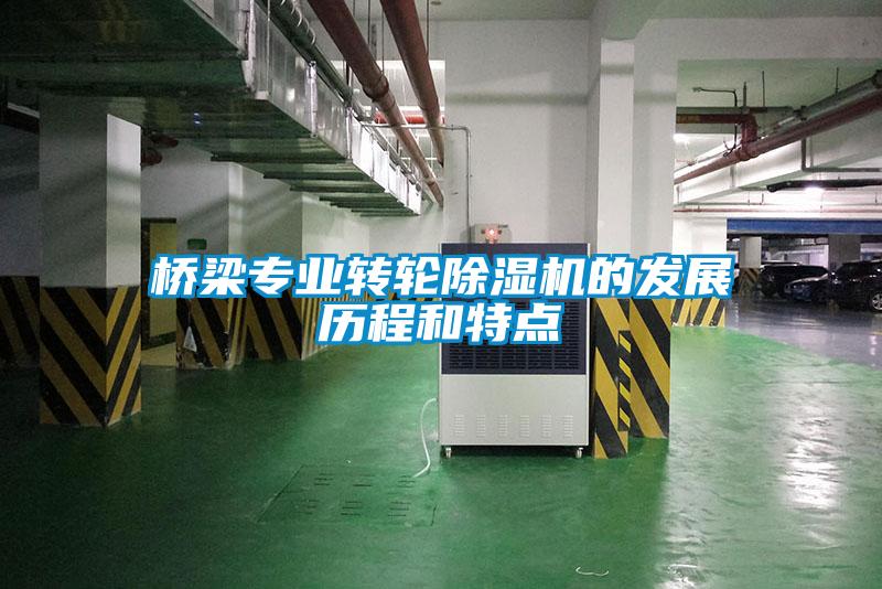 橋梁專業(yè)轉(zhuǎn)輪除濕機的發(fā)展歷程和特點
