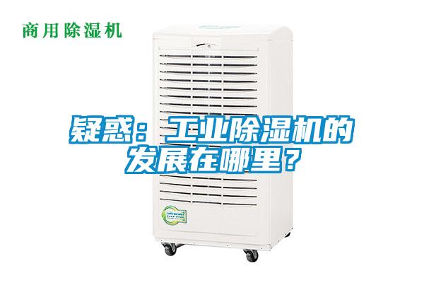 疑惑：工業(yè)除濕機(jī)的發(fā)展在哪里？