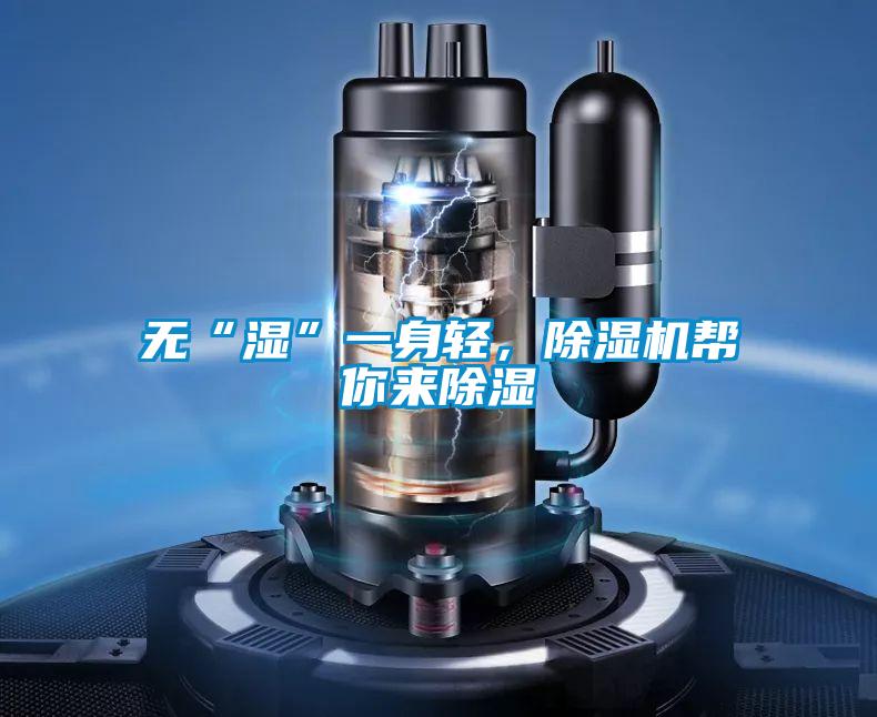 無“濕”一身輕，除濕機(jī)幫你來除濕