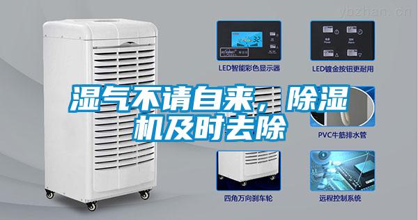 濕氣不請自來，除濕機及時去除