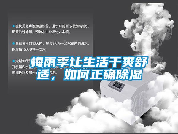 梅雨季讓生活干爽舒適，如何正確除濕