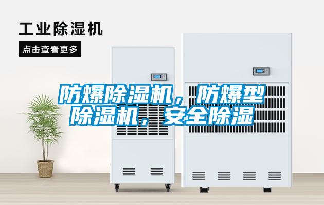 防爆除濕機(jī)，防爆型除濕機(jī)，安全除濕