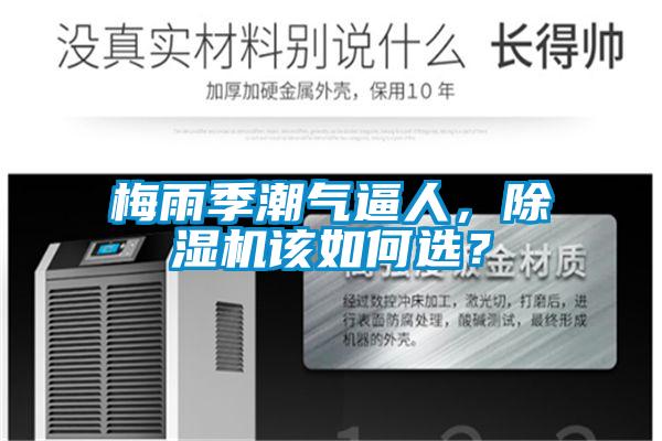 梅雨季潮氣逼人，除濕機該如何選？