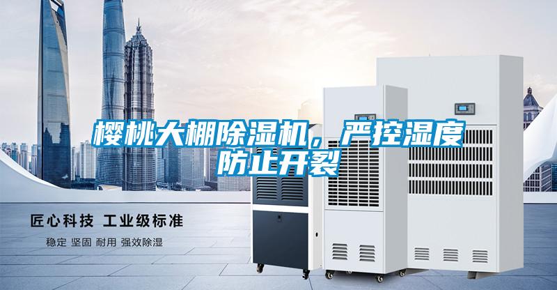櫻桃大棚除濕機(jī)，嚴(yán)控濕度防止開裂