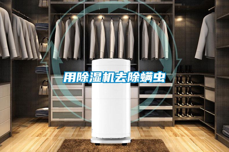 用除濕機(jī)去除螨蟲(chóng)