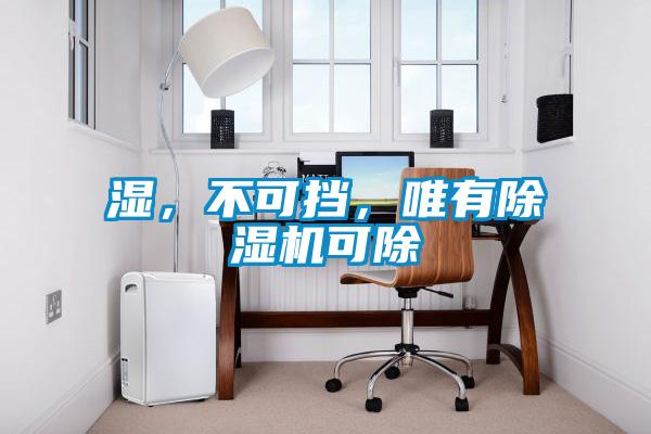 濕，不可擋，唯有除濕機可除