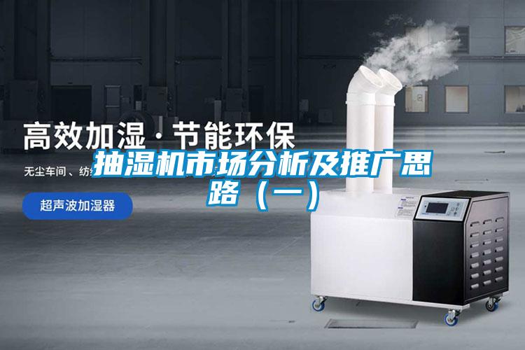 抽濕機(jī)市場分析及推廣思路（一）